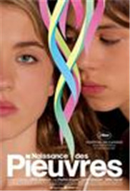 香格里拉电视剧