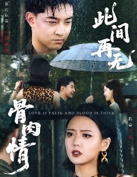 墨雨人间电视剧免费观看