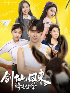 不可能的婚礼电视剧在线观看