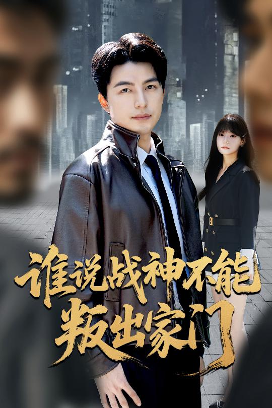 斗智情缘电视剧全集