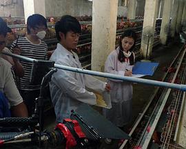 《国色芳华》免费播放电视剧