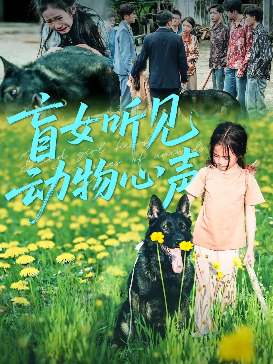 中国达人秀第一季