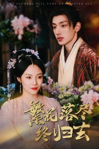 野鸭子电视剧免费观看全集