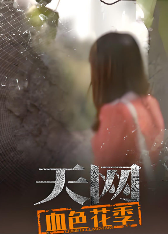 夜空中最闪亮的星 电视剧