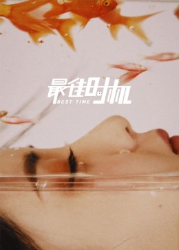 打黑风暴电视剧全集下载