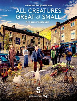 花开有声电视剧全集