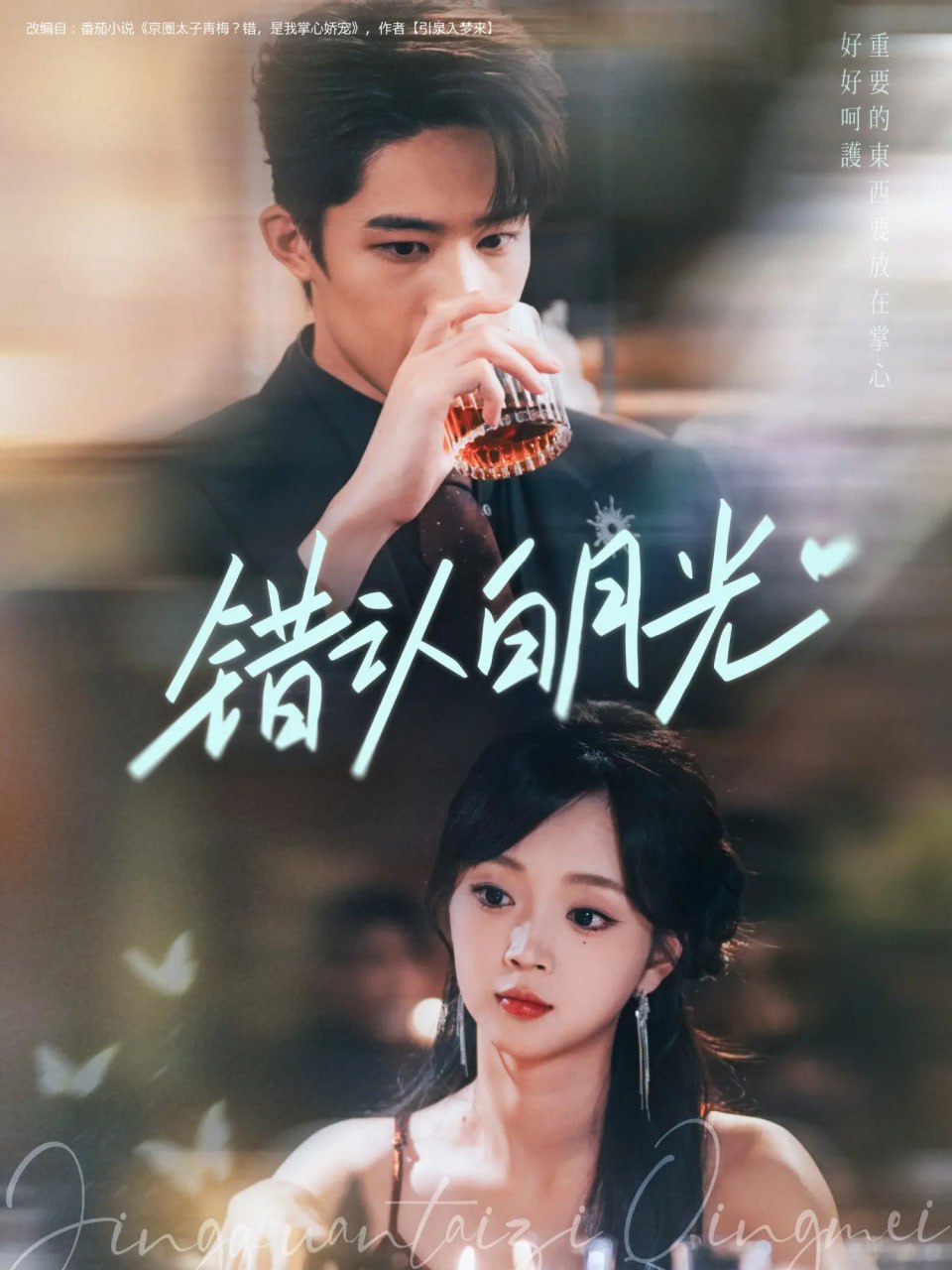 满仓进城电视剧全集