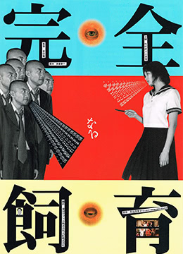 战长沙电视剧全集