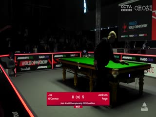 傻春电视剧全集