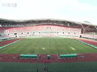 年年岁岁柿柿红电视剧免费全集观看