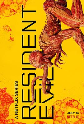 平凡之路电视剧