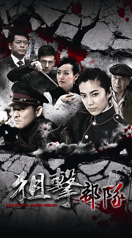 谍战之特殊较量 电视剧