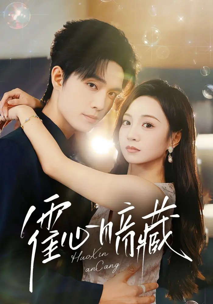 我是赵传奇电视剧全集