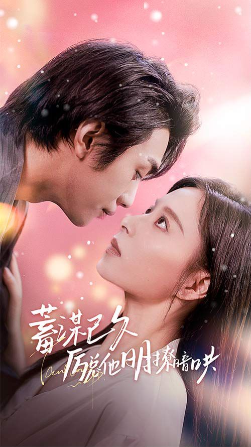 东北警察故事2免费观看完整版