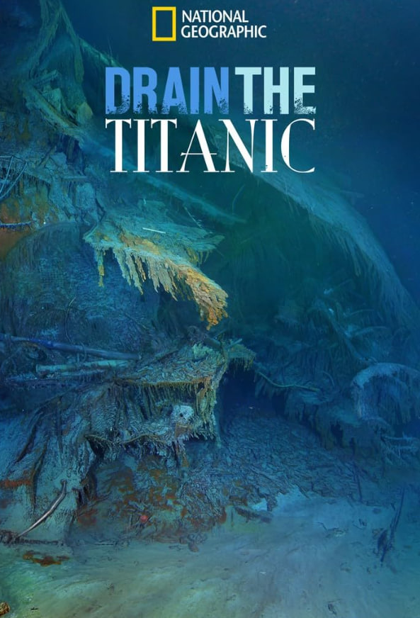 电视剧归队完整版免费观看