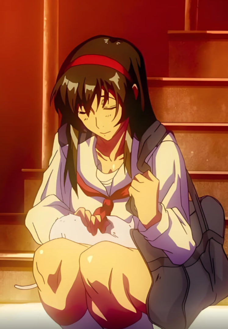 电视剧扫黑风暴在线观看免费完整版