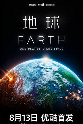 亲爱的吾兄免费观看完整版电视剧