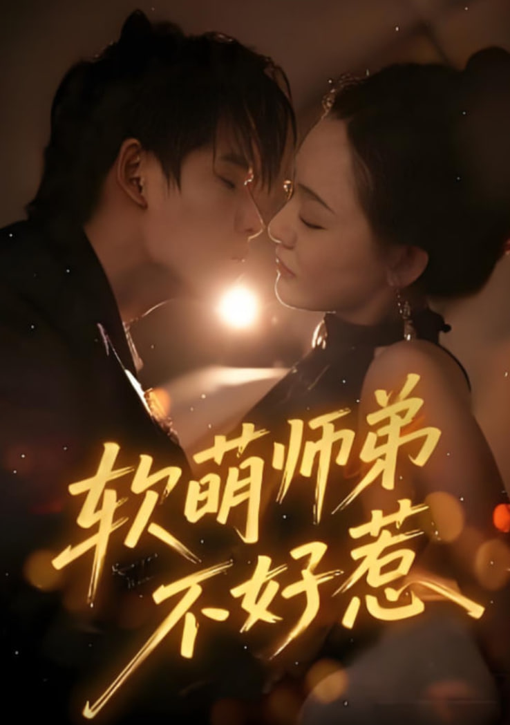 追光的日子电视剧免费观看