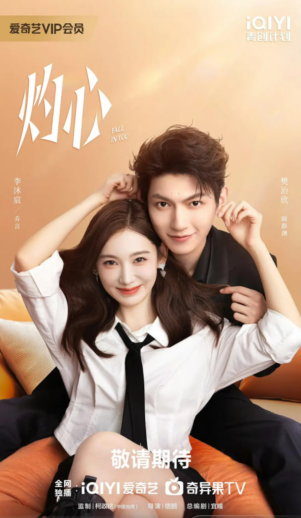 唯有暗香来电视剧