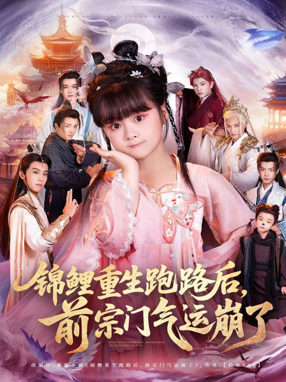 北方有佳人电视剧全集免费观看