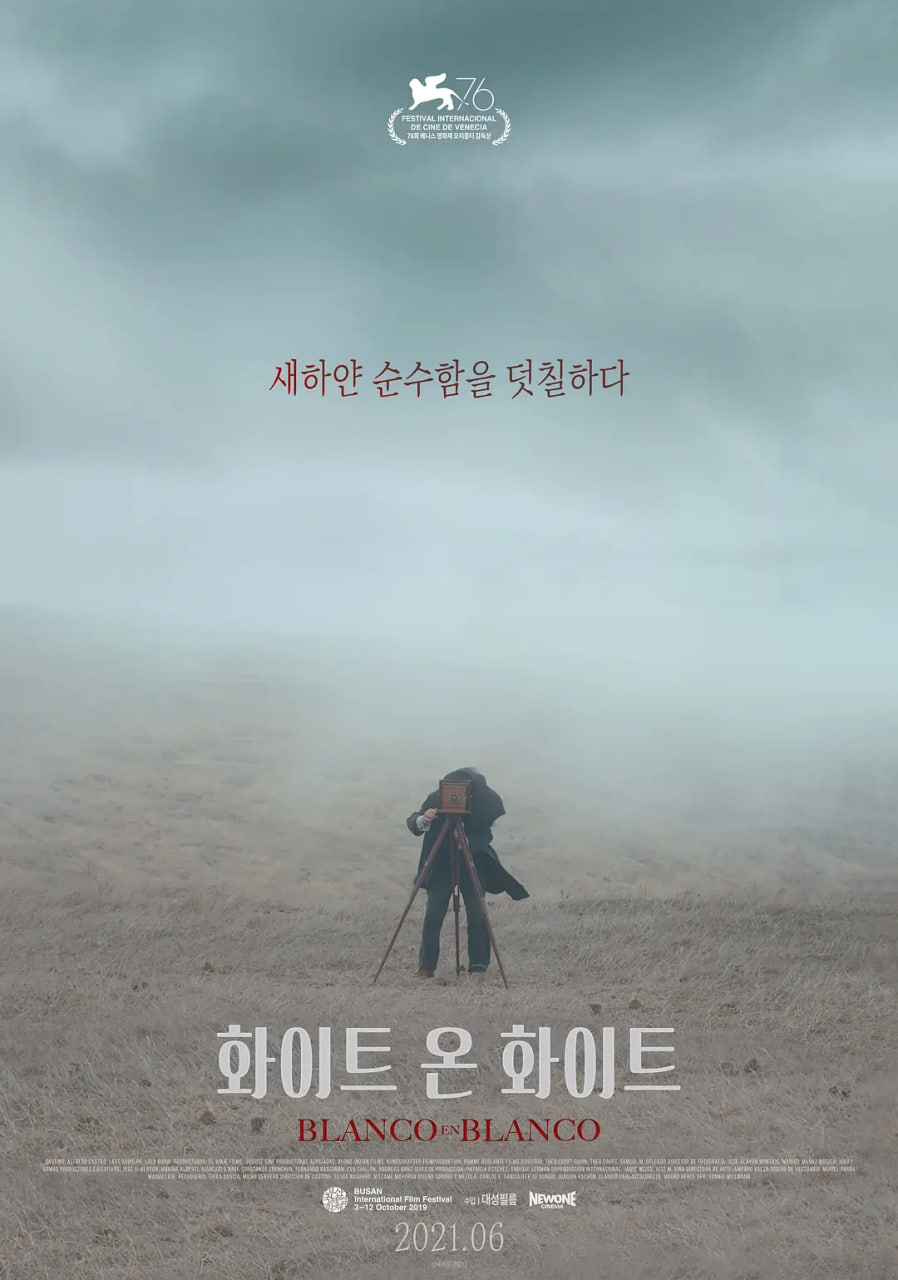 电视剧双城生活全集