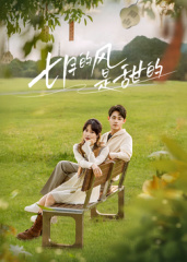 精忠岳飞电视剧全集在线观看