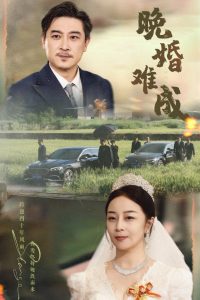 日本儿子娶母亲的电视剧