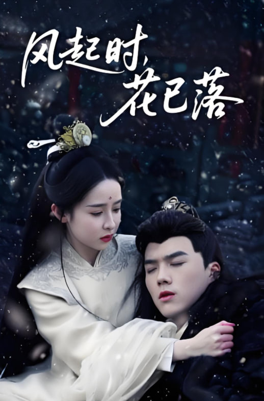 在线电影播放器