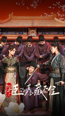 夫妻之间完整版免费韩国电影观看