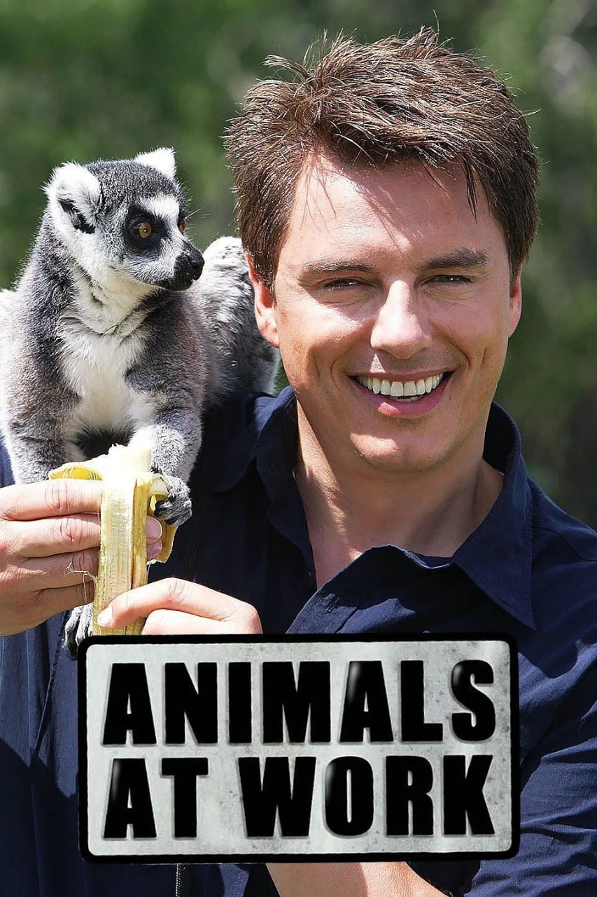 历劫俏佳人在线观看