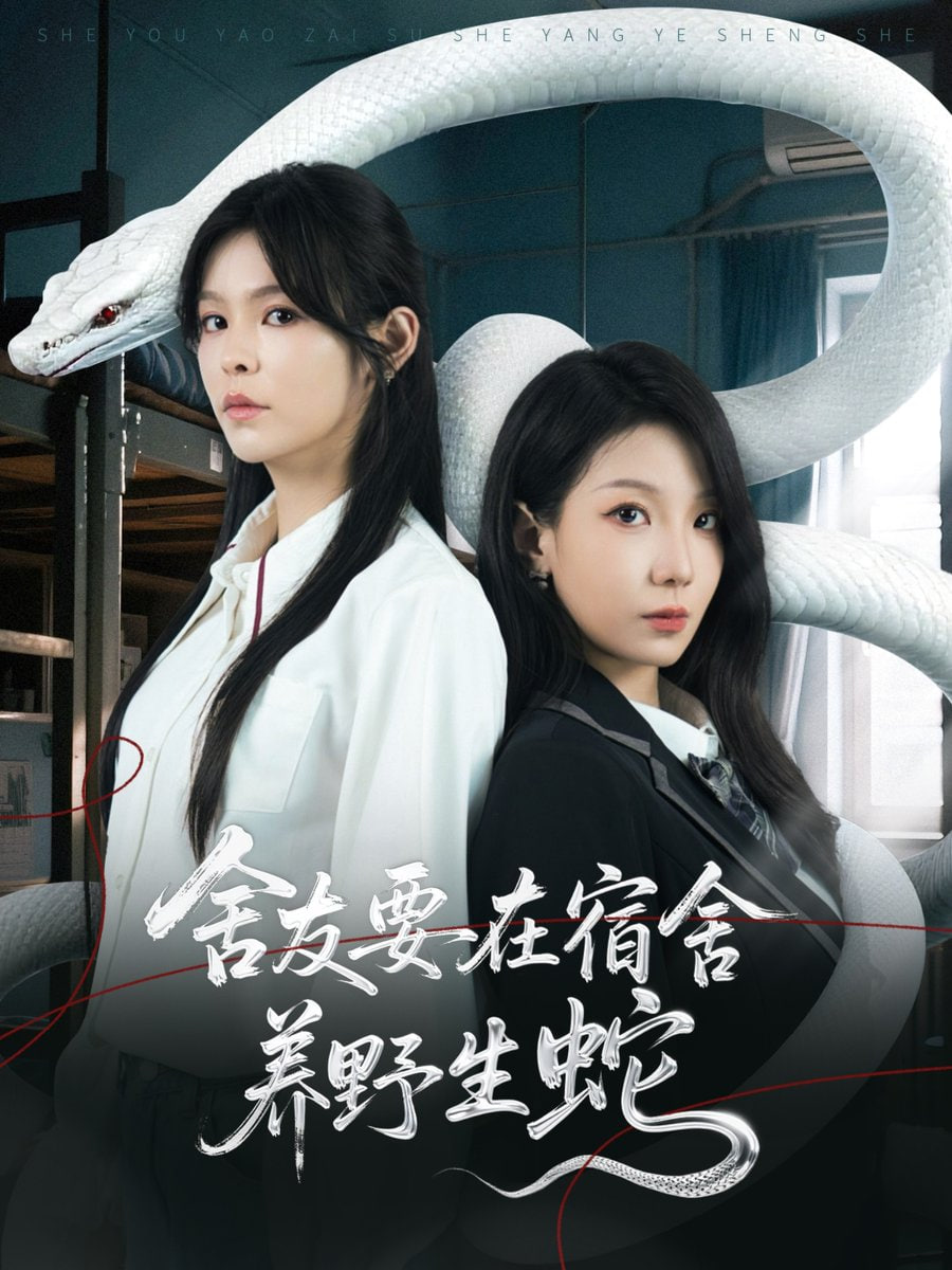 不会恋爱的我们电视剧免费观看