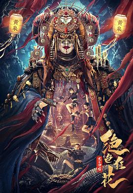 定风波王星越在线观看