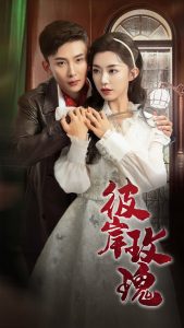 向风而行电视剧免费观看完整版