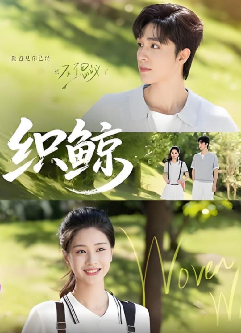 与晋长安电视剧在线免费观看