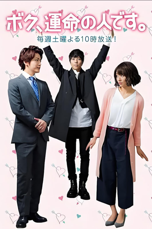 第一次爱的人免费观看电视剧杨磊