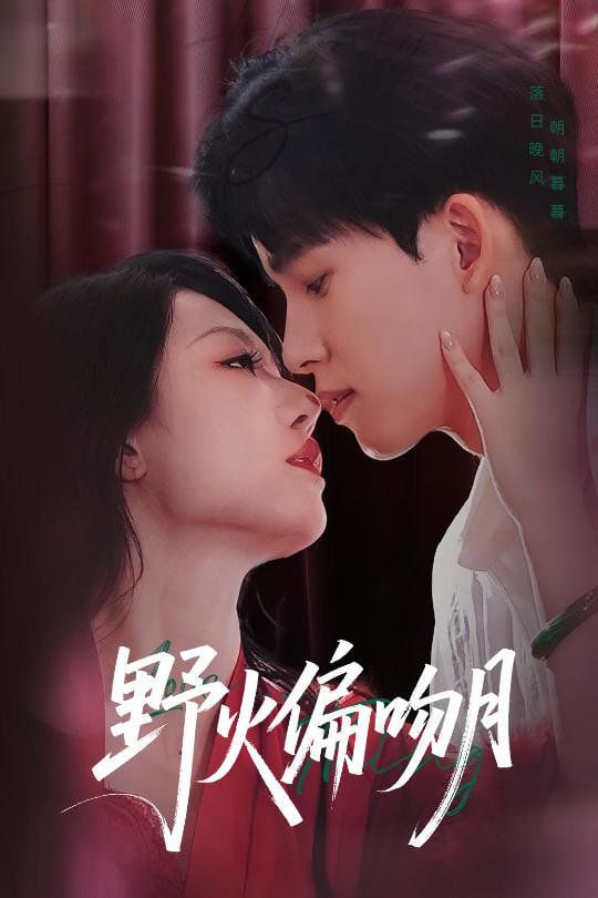 大贵族动漫免费观看完整版