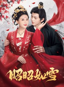 欢乐家长群电视剧免费播放完整版