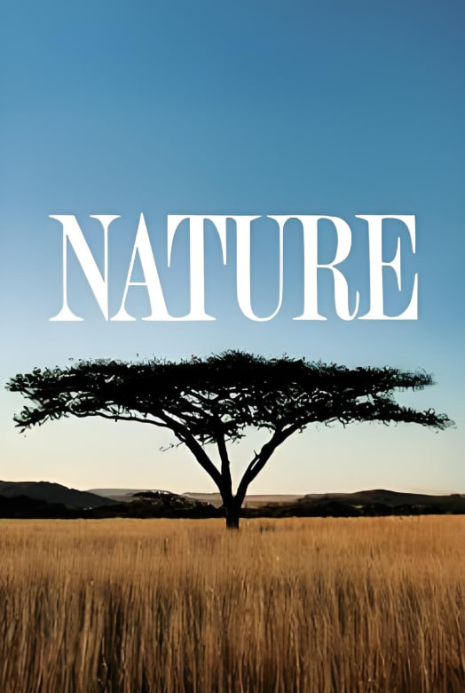 你是我兄弟电视剧全集