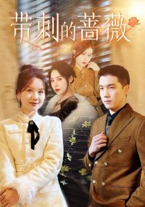 我赠妻子红缨枪短剧免费播放