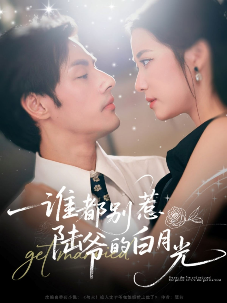 玫瑰故事电视剧