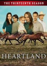 咱们相爱吧电视剧全集在线观看