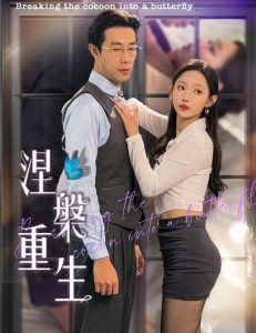 正阳门下电视剧全集免费观看