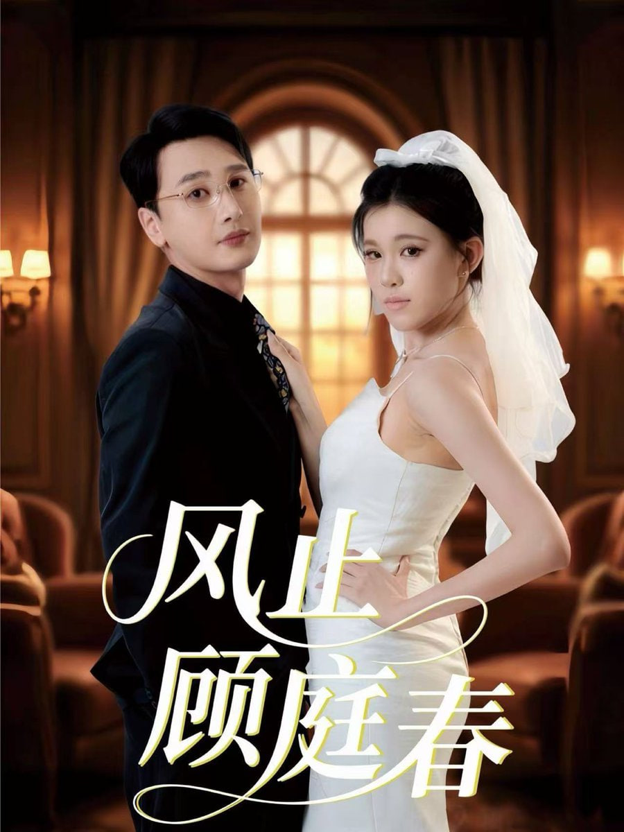 道德底线电视剧全集