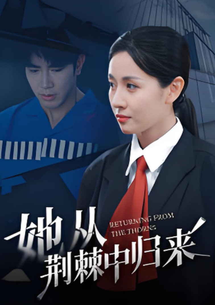 曹查理电影全集