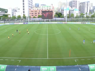 护宝寻踪40电视剧全集