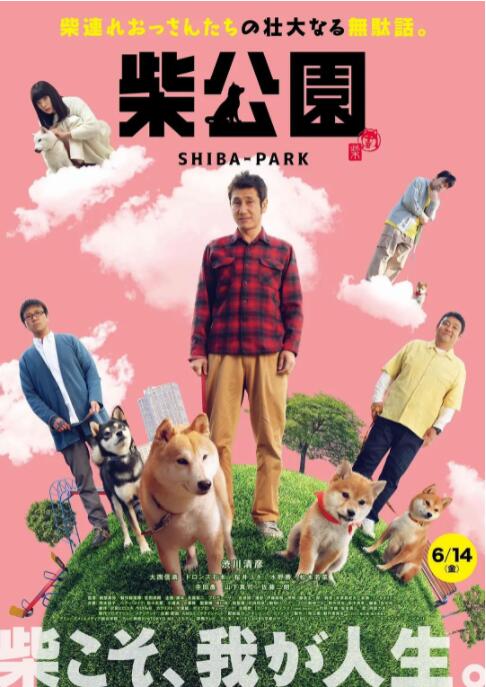 花千骨电视剧全集