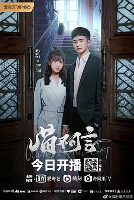 子夜归电视剧免费观看全集高清