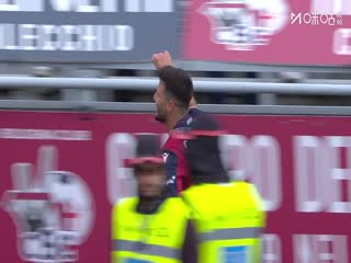 野花香电视剧完整版全集