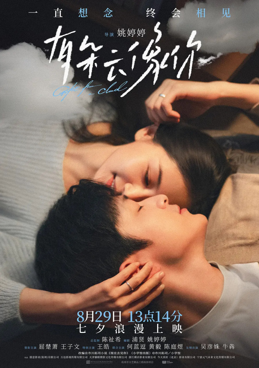 我的人间烟火 电视剧