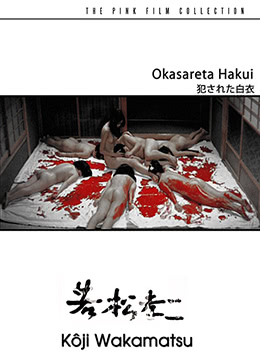 苍狼电视剧全集高清